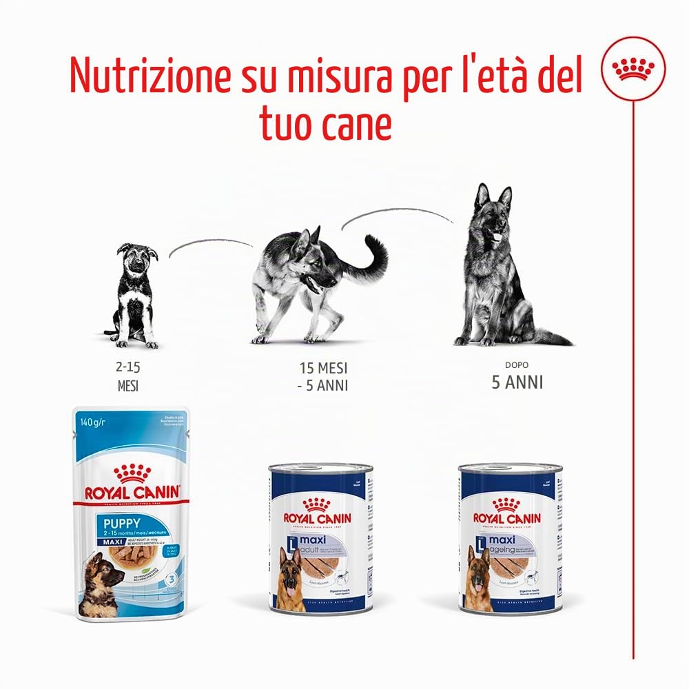 Royal Canin Maxi Adult | 12 x 410 g | Alimento completo per cani grandi adulti (26-44 kg) | Cibo umido ricco di nutrienti ed equilibrato con proteine altamente digeribili