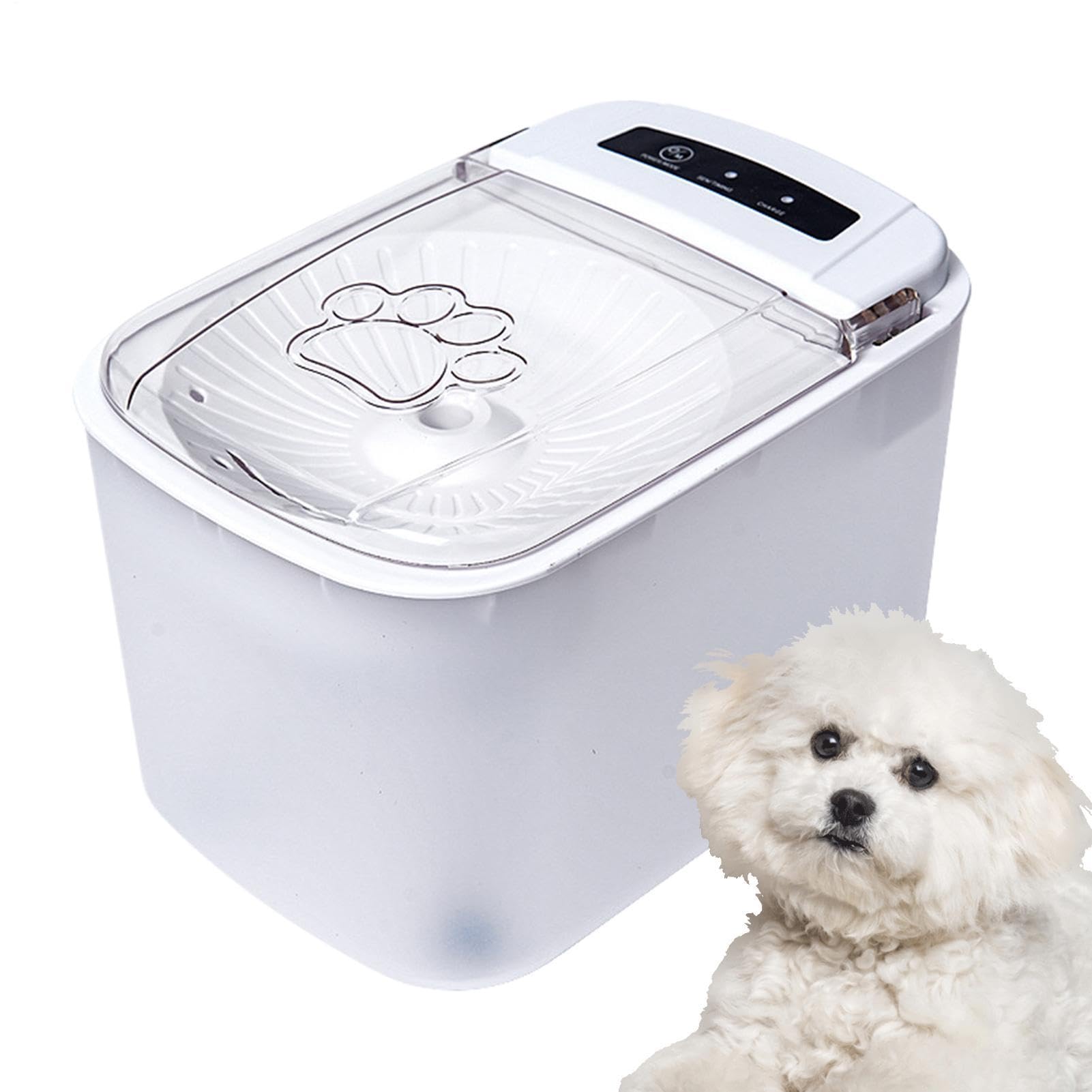 per gatti Automatica Con Erogatore Da Bere Da 3L | Per Cani Con Coperchio Ad Apertura Automatica A Sensore In Appartamento, Area , Ripostiglio, Cucina E Casa