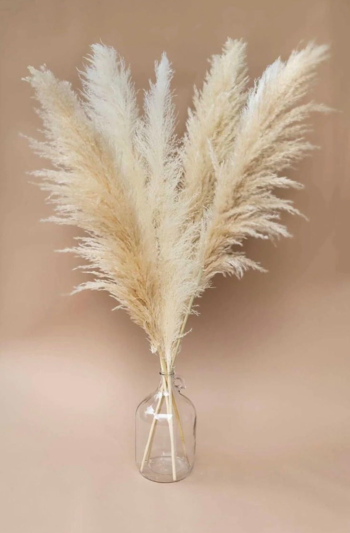 10 Stück Pampasgras Groß (39In/100cm), Pampas Grass XXL, Pampasgras für Boho DekoWohnzimmer Tisch Schlafzimmer Hochzeits Badezimmer Vase