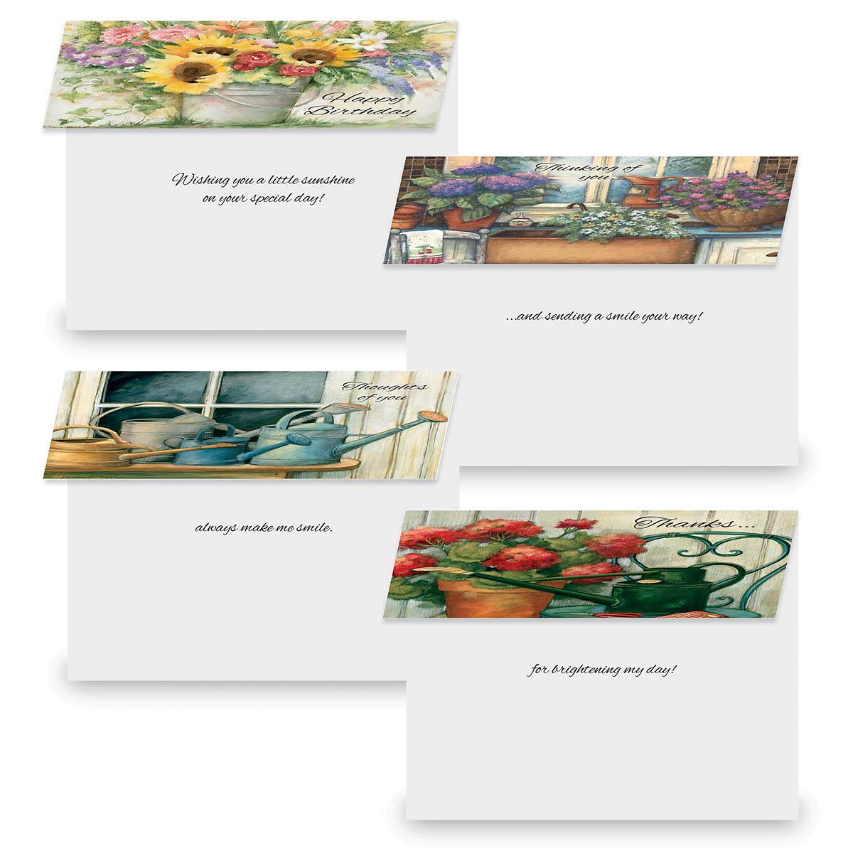 Snapklik.com : Current Country All Occasion Greeting Cards Value Pack ...