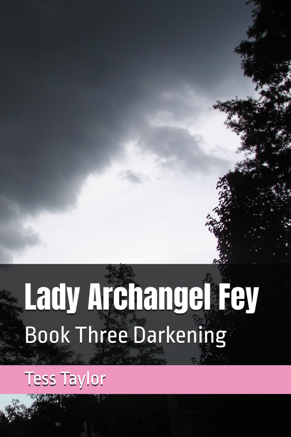 Lady Archangel Fey: Book Three Darkening