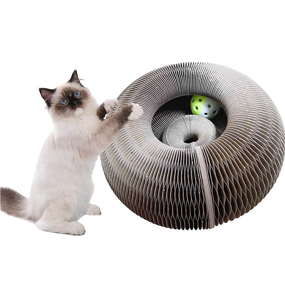 Magic Organ Cat Scratching Board, Cat Claw Grinding Scratching Board Cat Toy Scratcher Foldable Recyclable Durable Convenient Scratcher with a Toy Bell Ball for Domestic Pet Cats