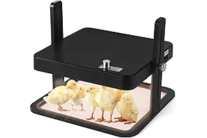 Heating Lamps for Chicks: A Warm and Comfortable Environment for Healthy Growth