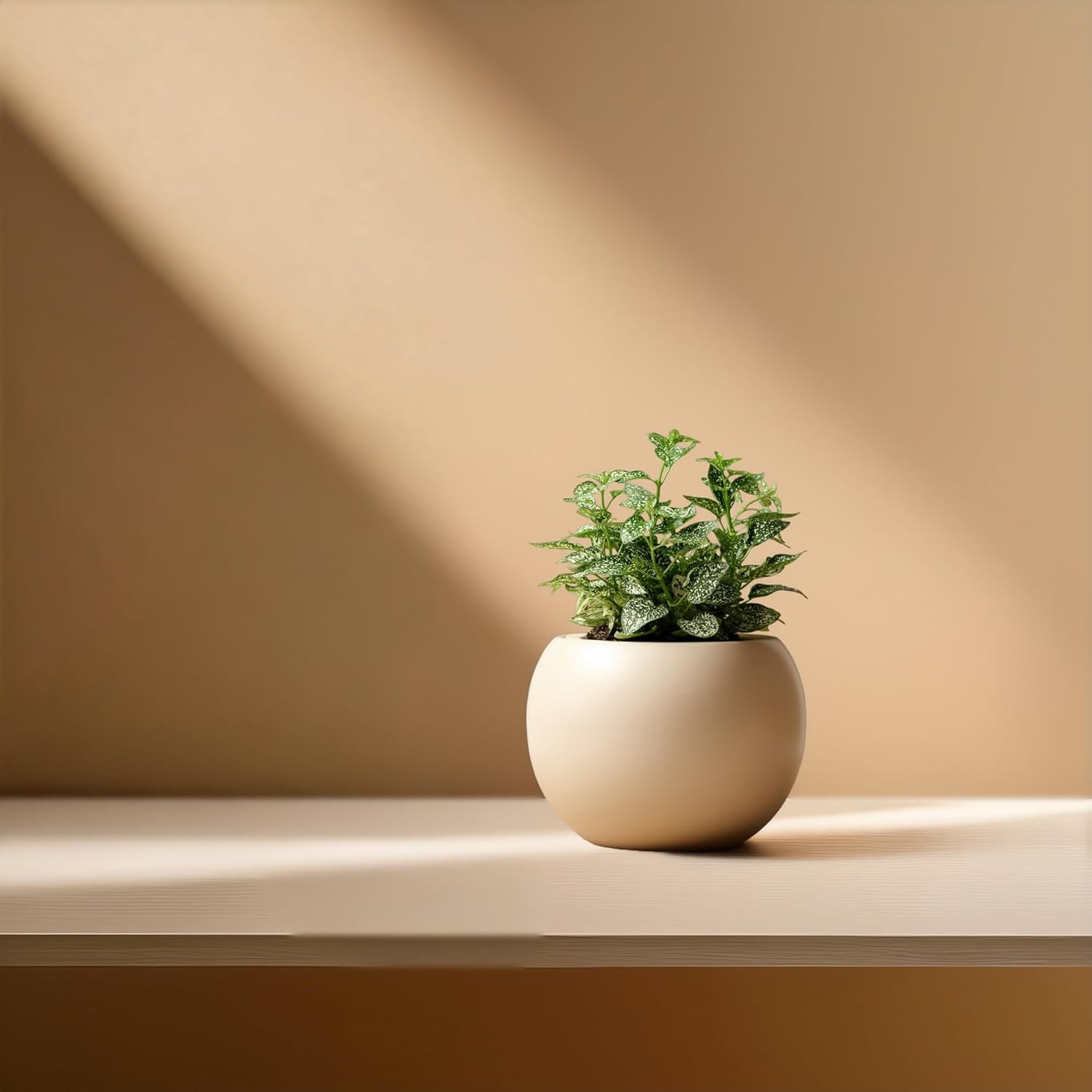 Ceramic Self Watering Plant Pot | 6.8 Inch Pot with 4.5 Inch Inner Pot for Small Plants | Ivory Pot for Indoor Plants | Round Self Watering Planter | Bottom Watering Pots for Indoor Plants