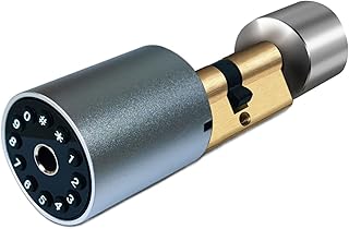 Variable Size Password Lock Fingerprint Door Lock Smart Door Lock Outdoor Door Lock Electronic Lock Tuya APP Cylinder Door (Color : Password Fingerprint)