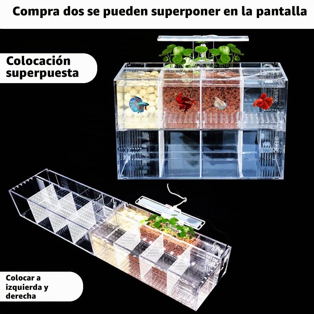 Betta Fish Tank Aquarium Material acrílico Mini pecera de Escritorio Kit de Cuencos con Bomba de Agua y Luces LED Autocirculación Tanque ecológico Sala de Aislamiento de Peces Enfermos (4 Rejillas)