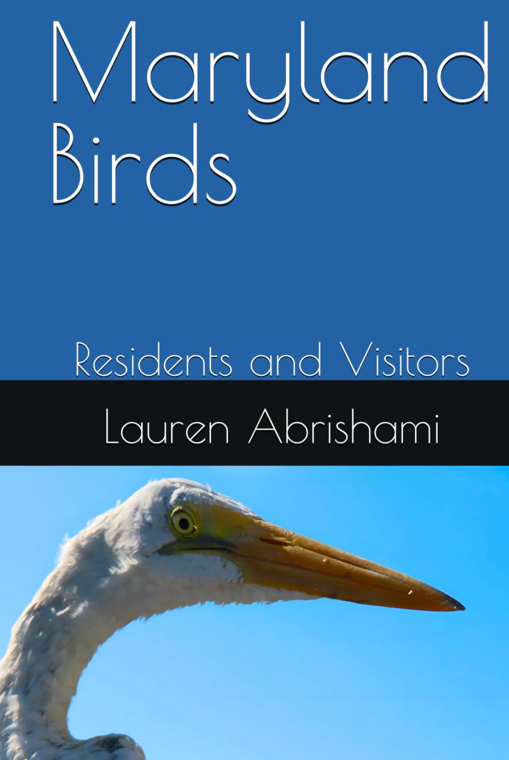 Oiseaux du Maryland illustrations naturalistes de précision pour collection