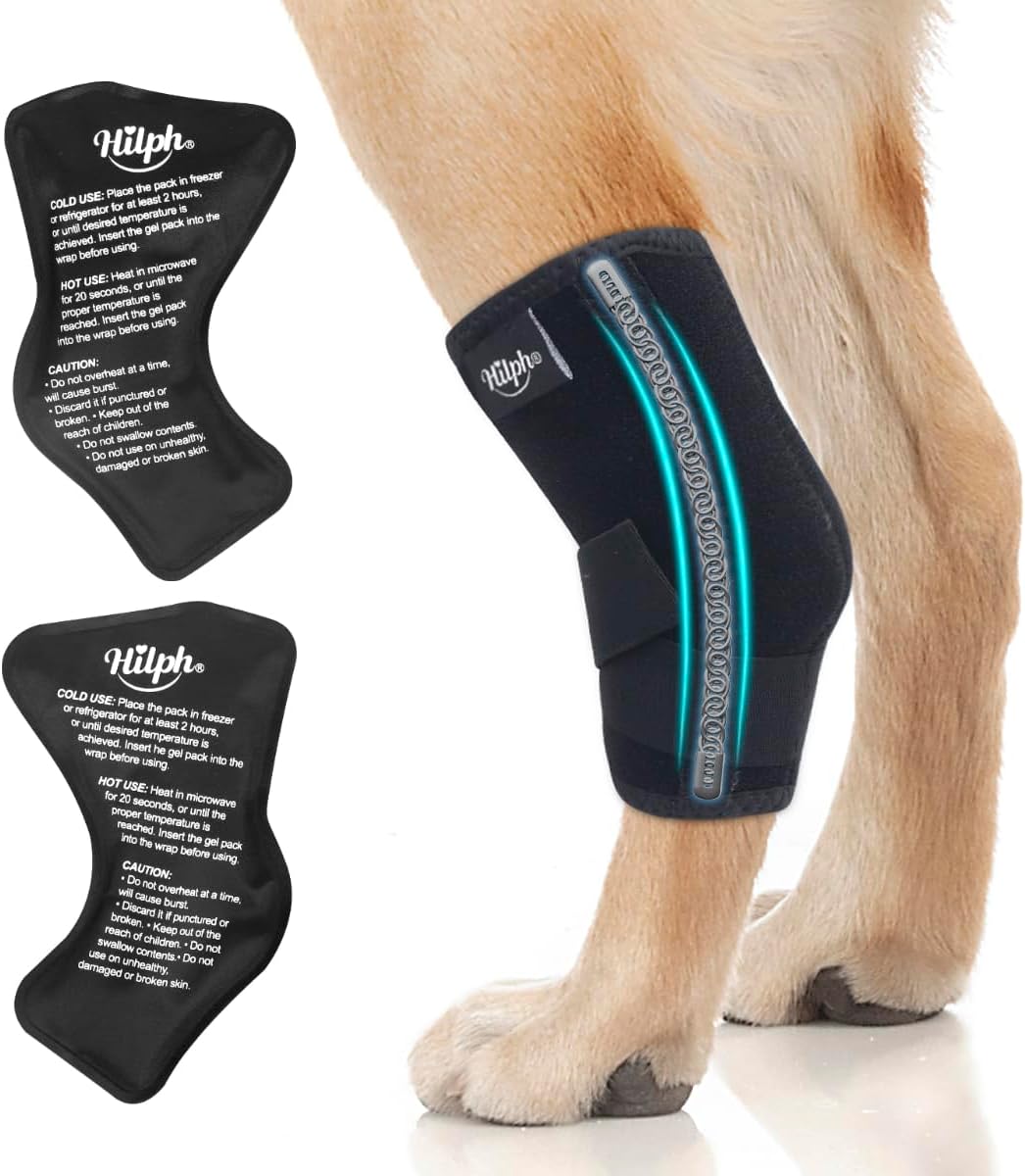 Hilph Rear Leg Hock Brace with Metal Spring Strips and 2 Ice Packs, Dog Leg Brace Hot Cold Compression for Rear Leg, Hock Ankle Support, Injuires, Joint Pain, Sprain and Post Surgery Recovery (L)