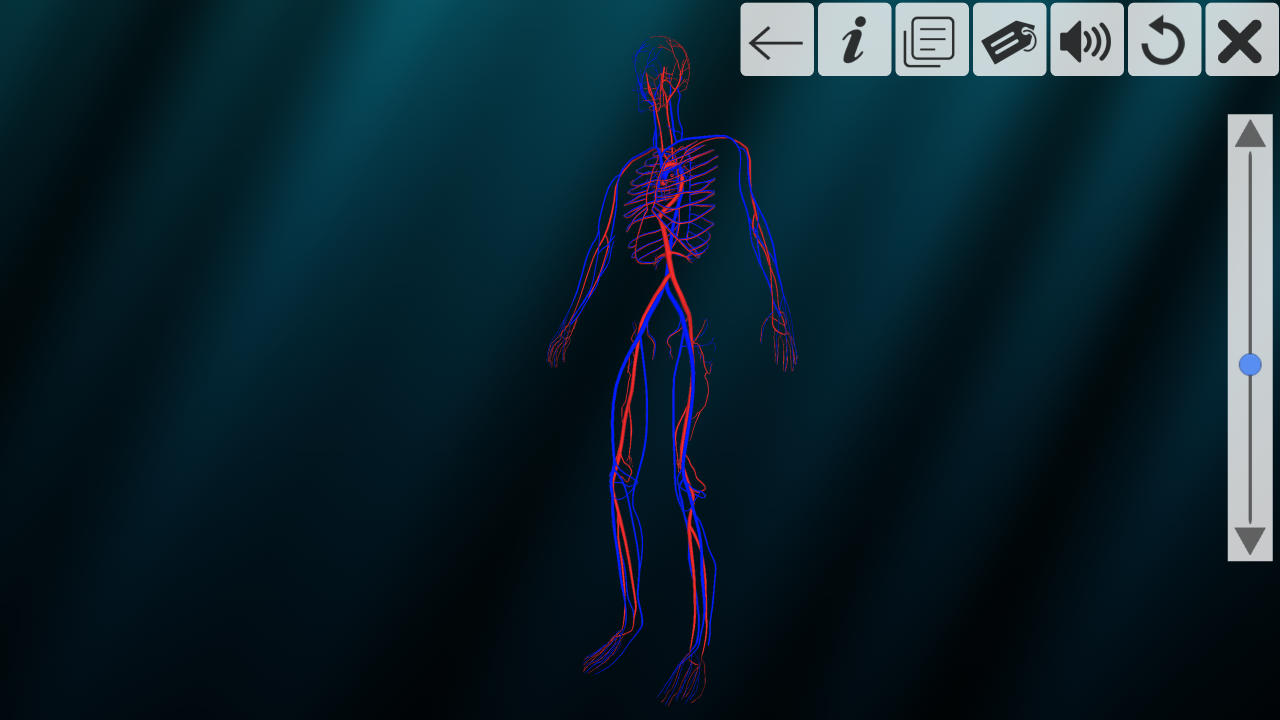 Incredible human body system - App on Amazon Appstore