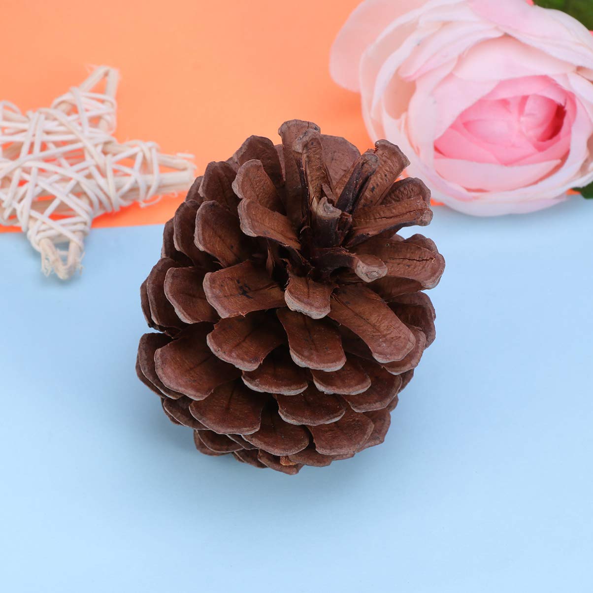 Natürliche Tannenzapfen Ornamente 50 Stück 6-8cm für Weihnachten | Wiederverwendbar, Winterdekoration für Zuhause und Party, Passende Deko für Küche, Vitrine