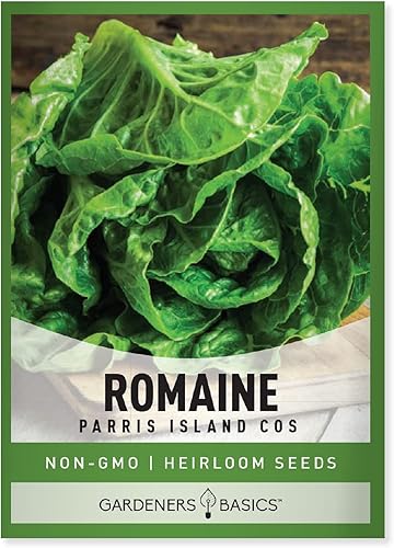 Miniatura 1 de Semillas de lechuga romana para plantar, Parris Island Cos Heirloom, variedad vegetal sin OMG, 0.07 onzas de semillas ideales para primavera,