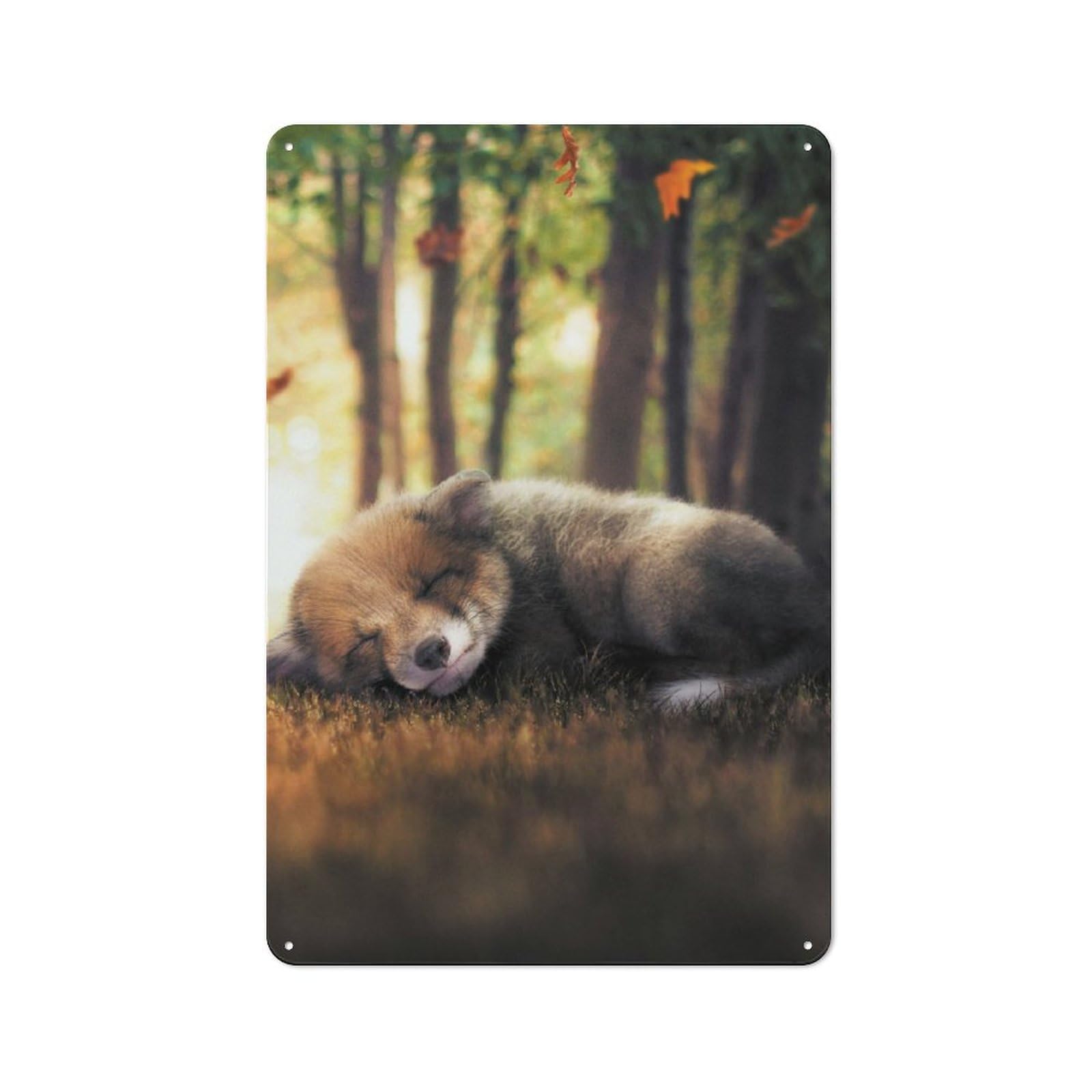 Junmoney The Sleeping Fox Cub Metal Wall Sign 30X20cm Featuring For Garage Wall, A Housewarming Gift For People Furnishing A Garage