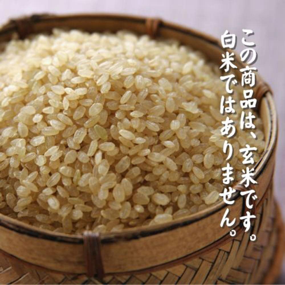 Amazon.co.jp: 福島県産 検査済一等米 玄米 コシヒカリ 30kg 令和7年産