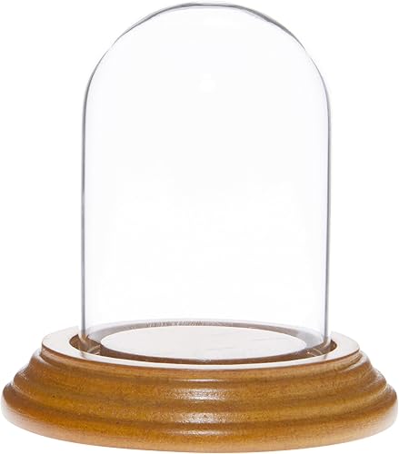 Miniatura 5 de Plymor Mini cúpula de cristal de 2 x 3 pulgadas (base de chapa de madera negra)