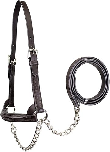 Derby Originals Cabestro de cuero acolchado de alta calidad con cadena a juego