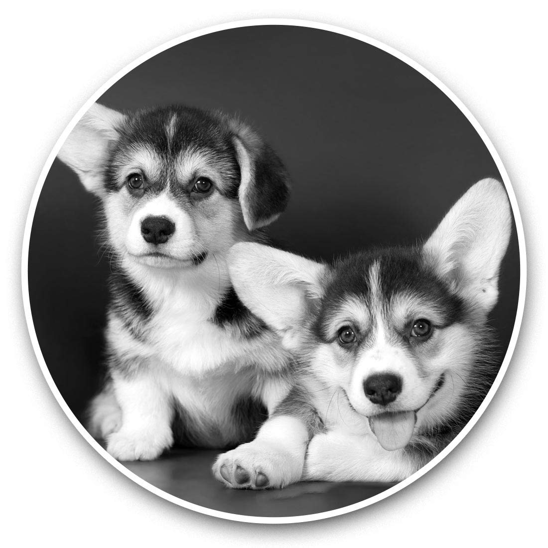 Destination Vinyl Ltd Bw Cute Corgi Puppies Puppy Dog 38653 2 X 20Cm Vinyl Stickers - Cute Corgi Puppies Puppy Dog Decals 38653
