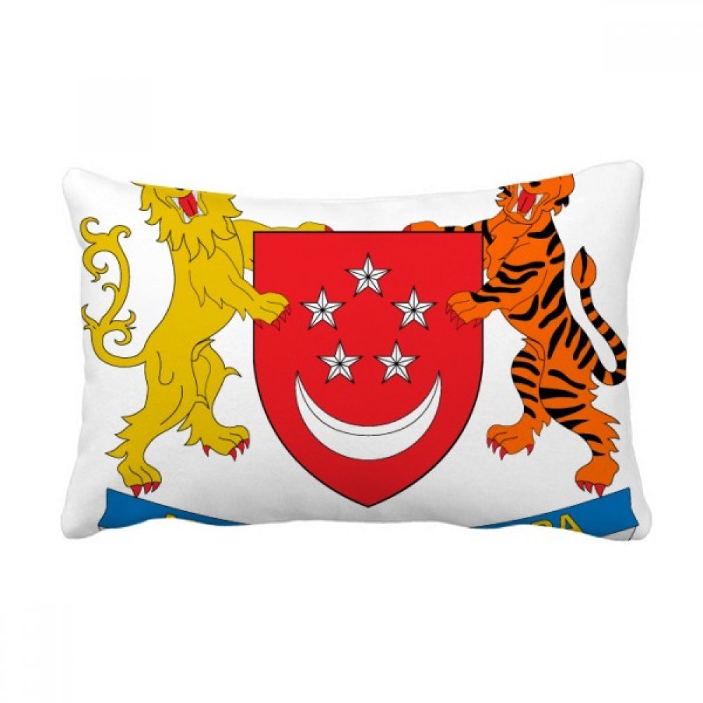 Coussin de Singapour oreiller lombaire insert multicolore 16x24 pouces pour canapé maison déco