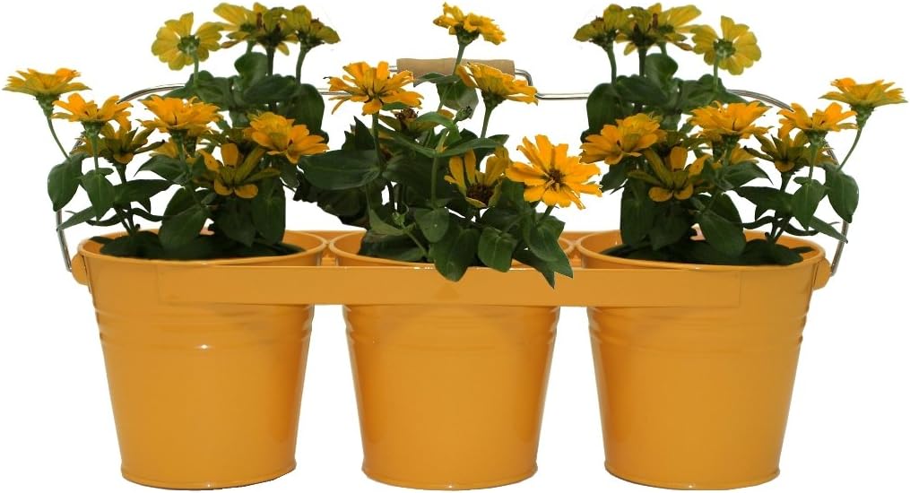 HIT 8333E SA Triple Hanging Planter with Wood Handle, Sage Green