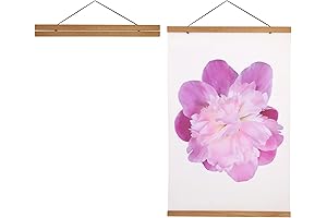 Magnetic Hanging Frame: Aesthetically Display Your Precious Memories