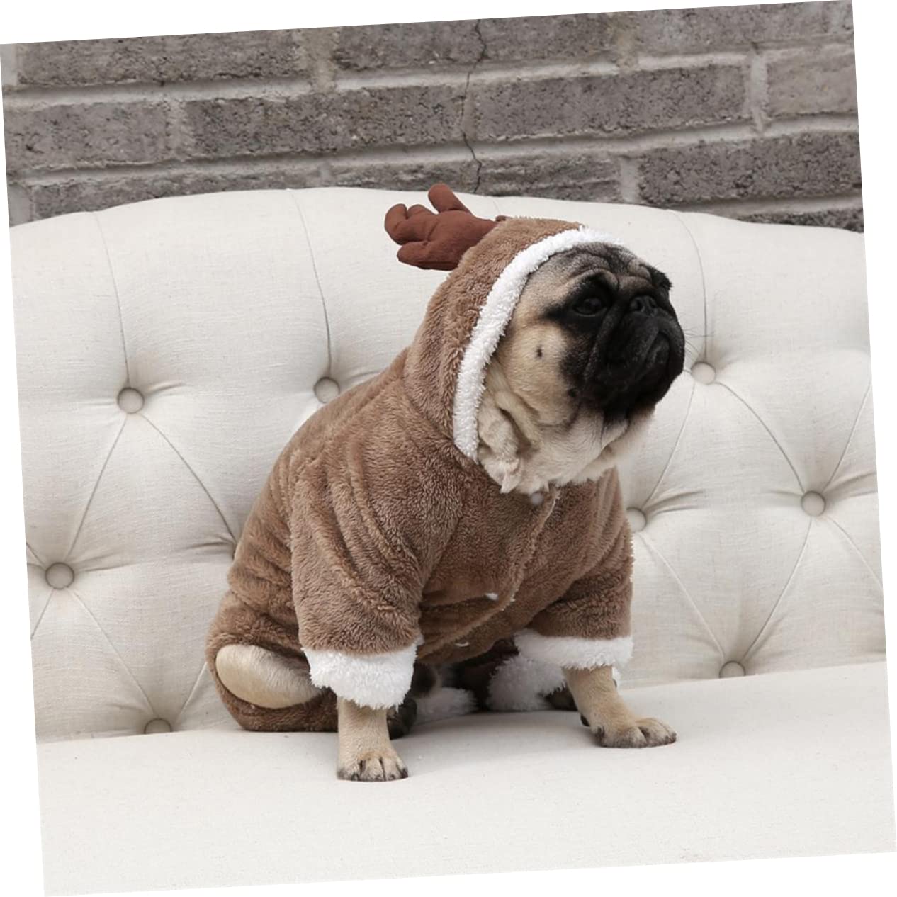 SUPVOX 2 Pz vestiti per cani inverno del cane cucciolo di gattino costume da simpatico cartone animato costume da pirata per cani cappotto invernale felpa invernale