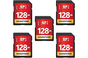 Gigastone SD Card 128GB Class 10: Capture Every Moment with Unparalleled Performance