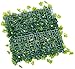 Catral 43040002 - Losetas de jardin vertical Nius, 50 x 50 cm,...