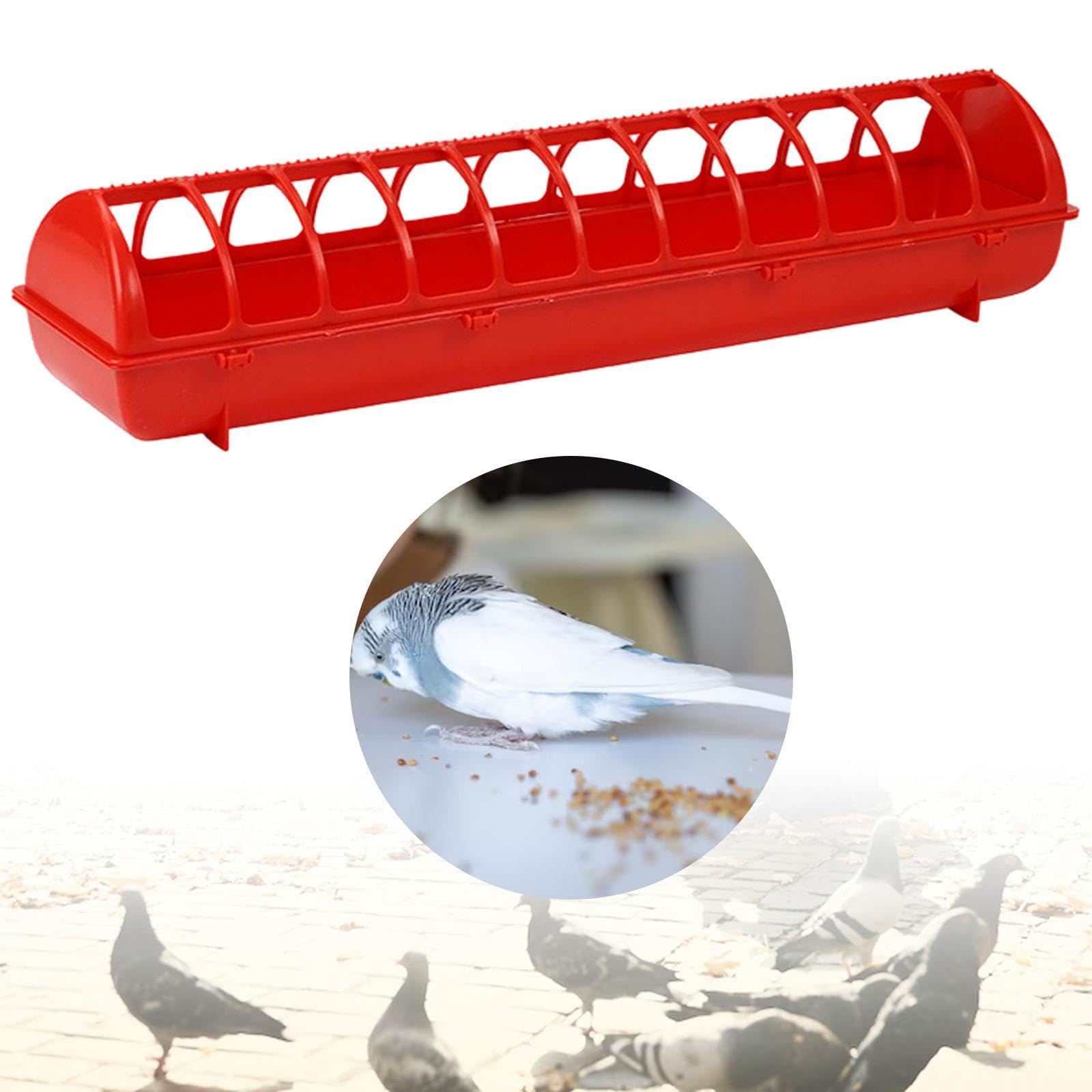 Comedero para Pollos, Codornices, Y Palomas, Sin Caja de Agua, 68x16x14cm