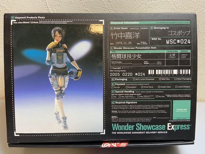 ガレージキット WSC 1/8 格闘球技少女　竹中喜洋　ワンダー ショウケース Amazon.co.jp: ガレージキット WSC 18 格闘球技少女 竹中喜洋