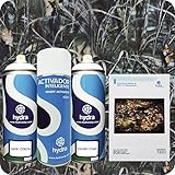 HYDRA WATER TRANSFER PRINTING