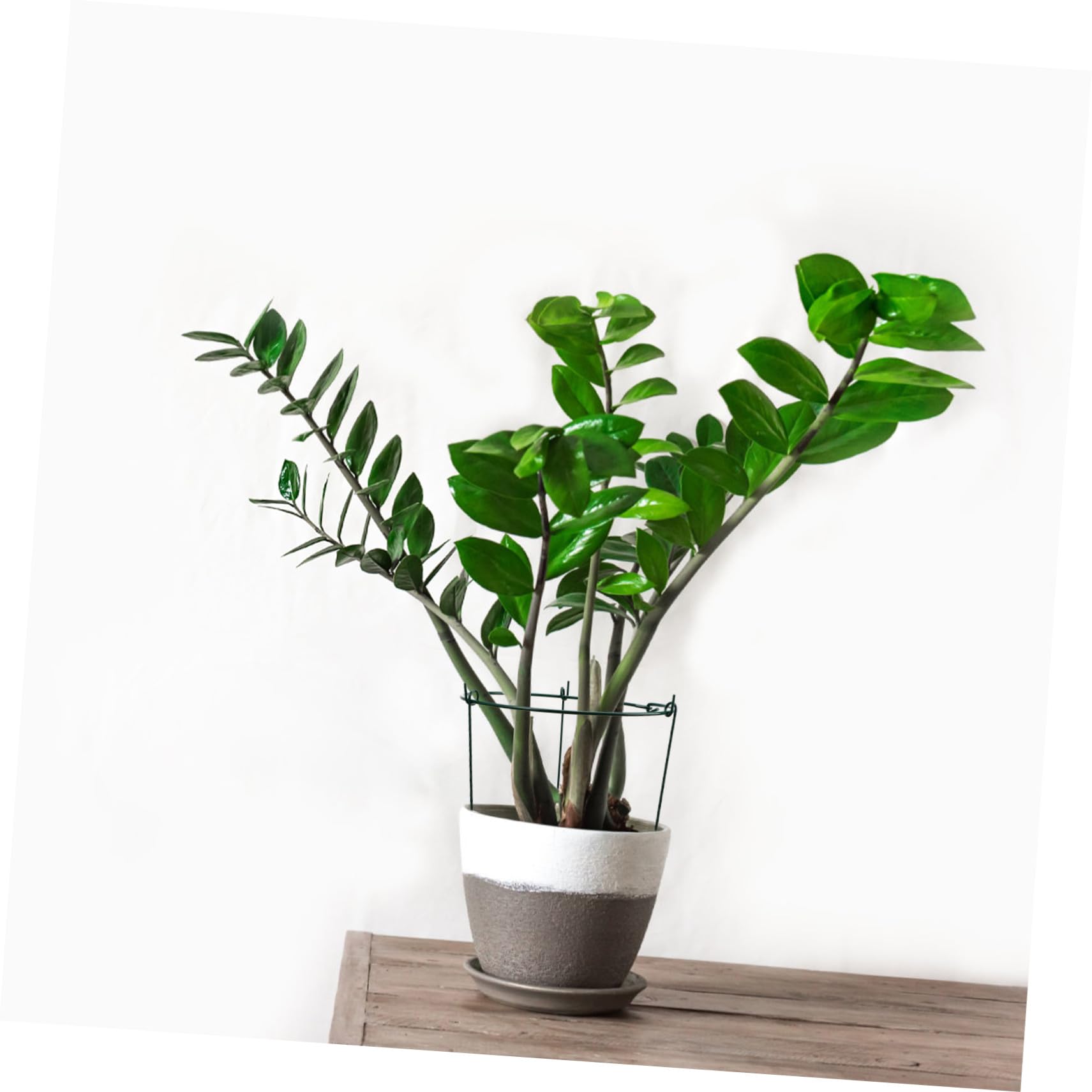 Lot De 3 Tuteurs De Jardin Vert pour Plantes Grimpantes 25/40 Cm, Treillis De Support Robuste en Fer Revêtement Esthétique, Cages à Pivoines Polyvalentes pour Extérieur Et Intérieur