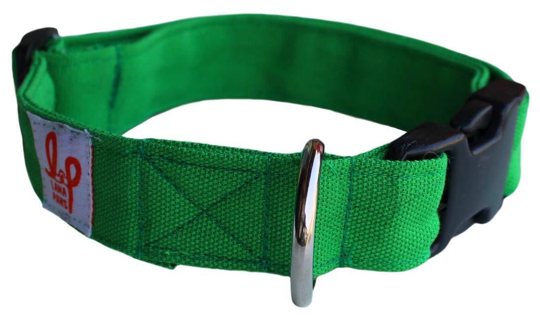 Lana Paws Parrot Green Dog Collar (B08RSBWB24) Amazon Price History, Amazon Price Tracker