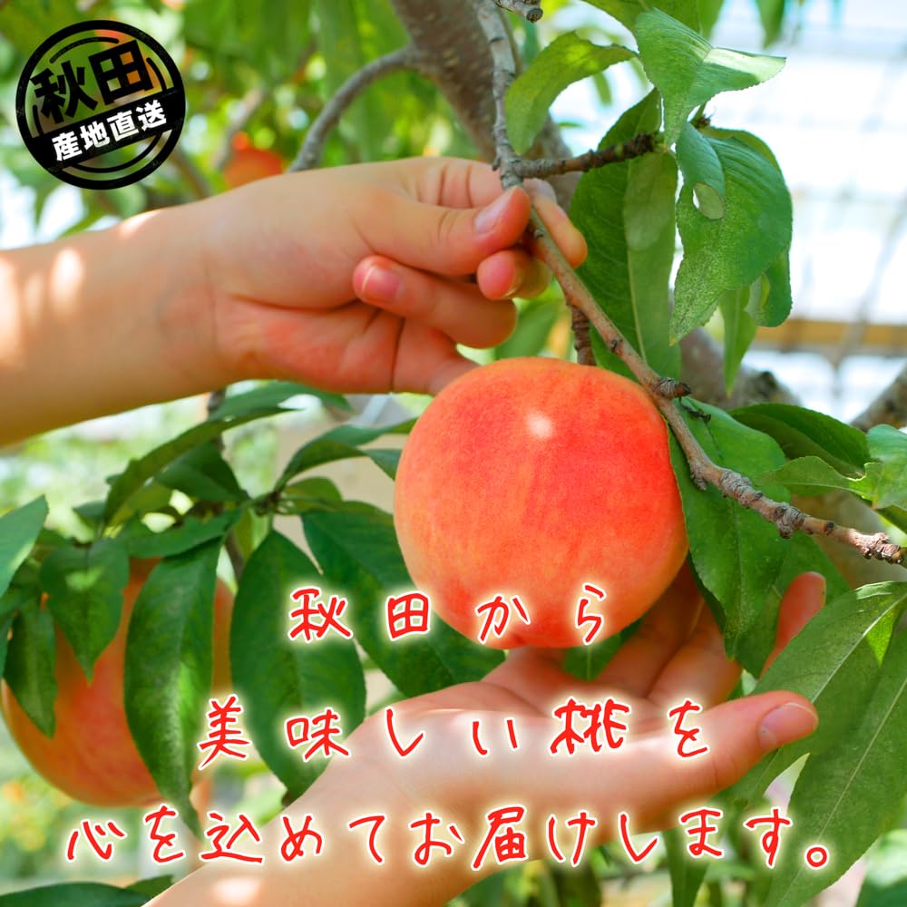 Amazon.co.jp: 秋田県産 JAかづの 北限の桃 5kg 12～18玉入 | 8月下旬