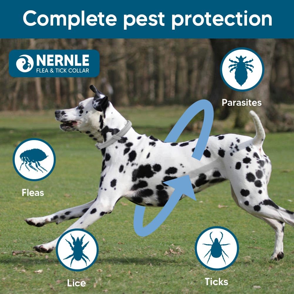 Collare per Cani Oltre 8 KG, Regolabile Collare Cane, Protezione 8 Mesi per Grande Cani, Collare per cani impermeabile 2 Pack