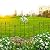 AMAGABELI GARDEN & HOME 5 Panels 27in(H)×9ft(L) Decorative Garden Fences and Borders for Dogs No Dig Rustproof Metal Fence Panels Garden Edging Animal Barrier Fencing for Flower Bed Yard Patio