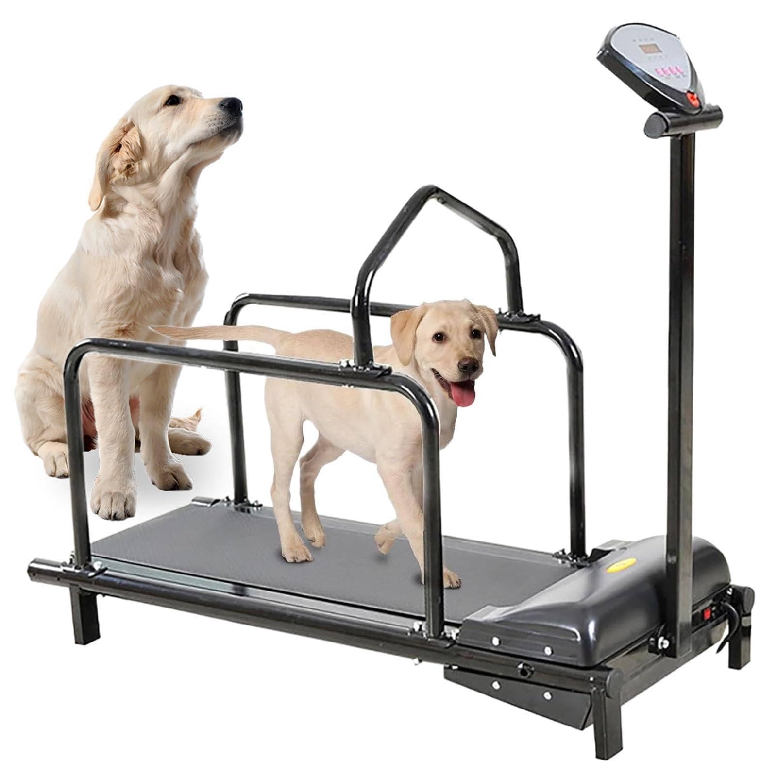 Hundelaufband für große Hunde, Haustier-Laufband für das Training Kleiner und mittelgroßer Hunde, Indoor-Laufband für mittelgroße Hunde, Hundelaufband