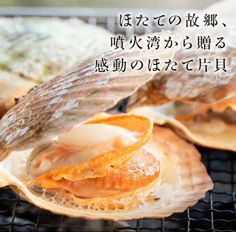 北海道産天然ホタテ貝殻 16cm 20枚セット Amazon.co.jp: 【きゅういち