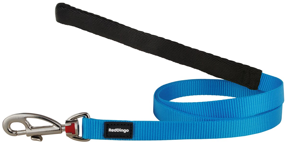 Red Dingo Laisse/Harnais pour Chat Turquoise