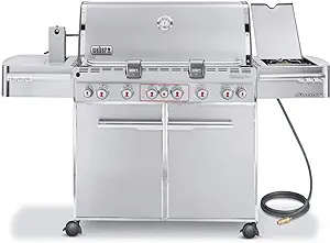 The Best Natural Gas Grills 10 61KOq1F2HQL. AC SX300 SY300 QL70 FMwebp