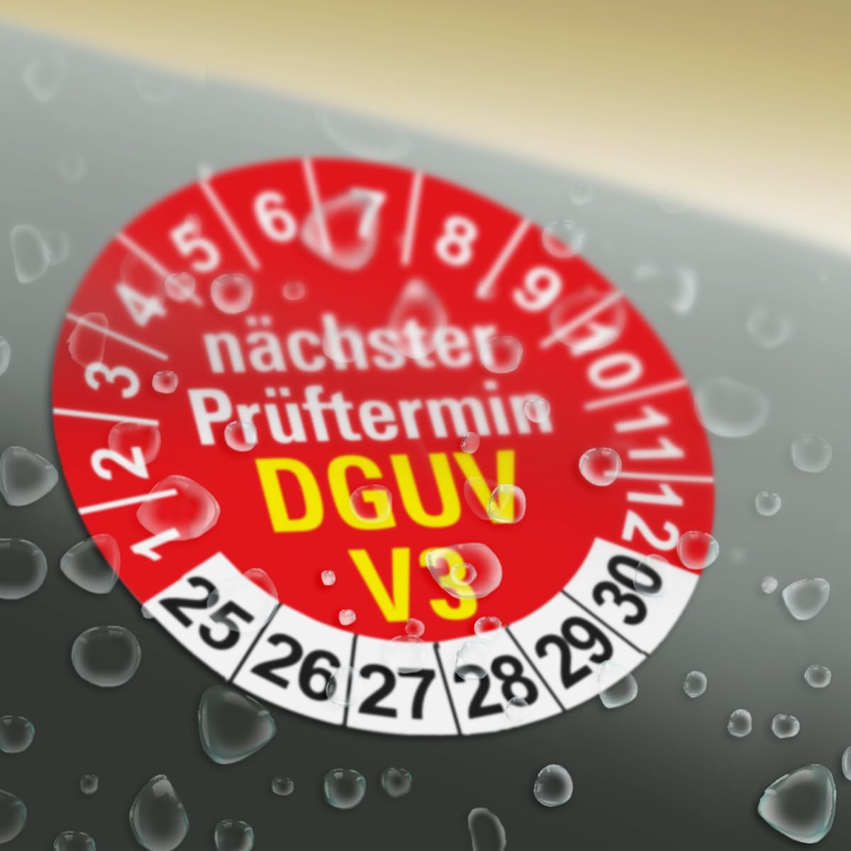 Prüfplaketten DGUV V3 40mm – 1000 Stk, Selbstklebend, Wetterfest, Für Prüfungen & Wartung Selbstklebende PVC Folie