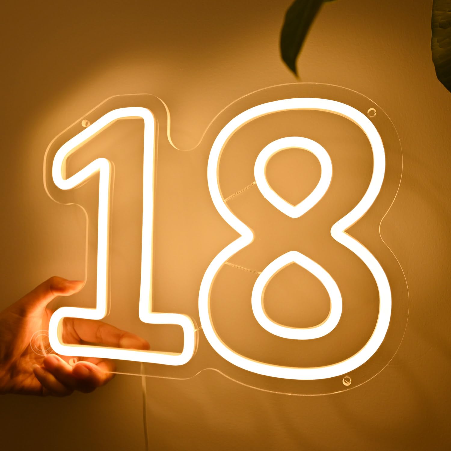 Britrio insegna al neon per 18° compleanno, decorazione sfondo, luce LED al neon per 18 anni, compleanno, anniversario, festa, decorazione da parete, banner, accessori per ragazza e ragazzo, numero e