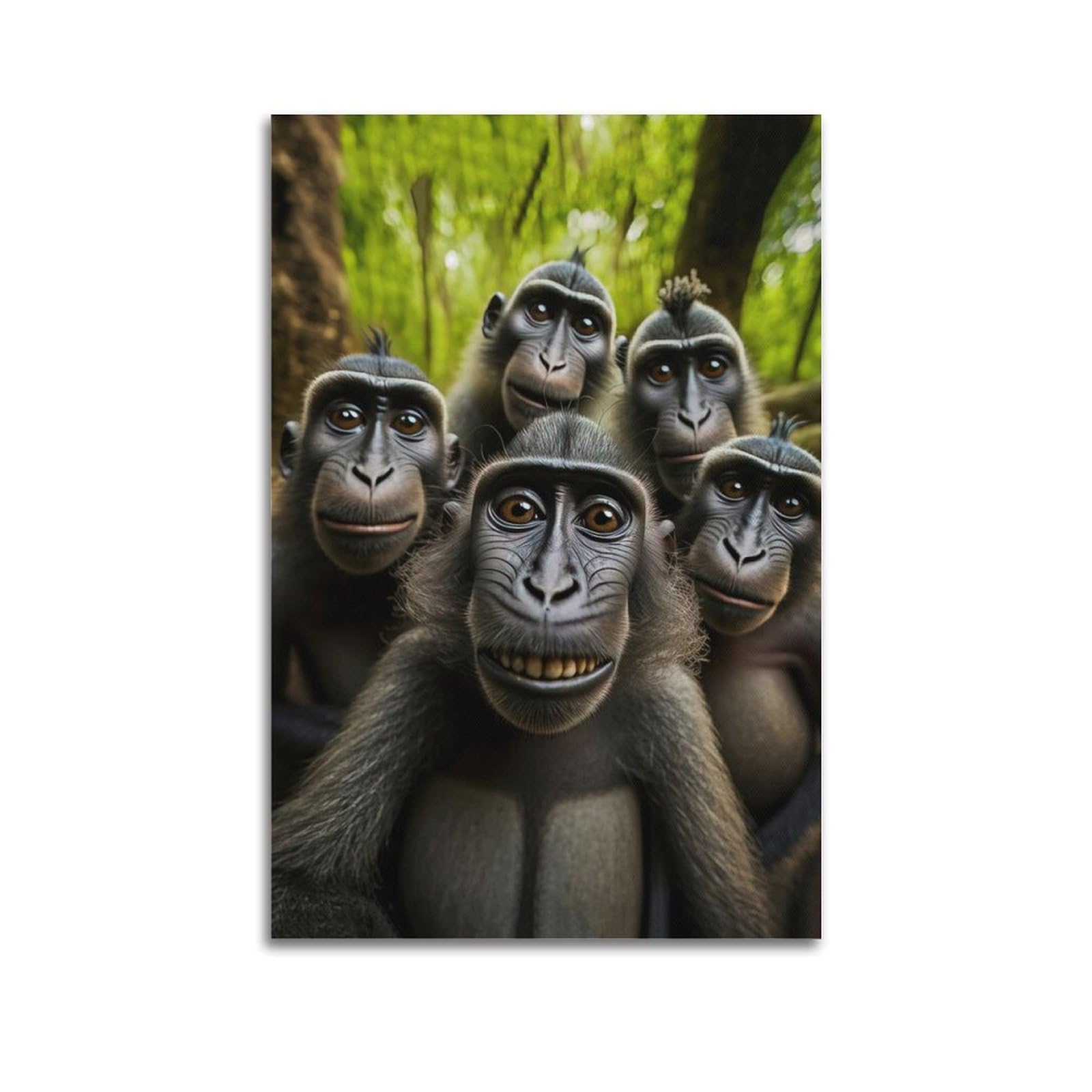 Xkuga Boys Unframe-Style Funny Animal Poster Nature Wildlife Vintage Monkey Selfie Modern Decorative Canvas Prints - Ideal Wall Art For Family, Man Cave, Game Room, & Girls Bedroom 20X30inch(50X75cm)
