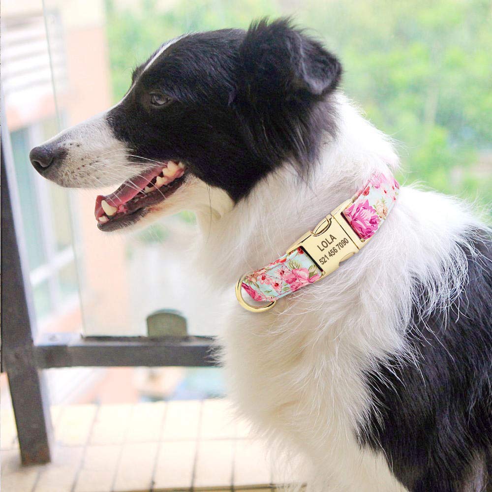 Collare per cane Collare personalizzato con targhetta per cuccioli di animali domestici Collari personalizzati per cani di taglia piccola in nylon con incisione Regolabile per cani di taglia me