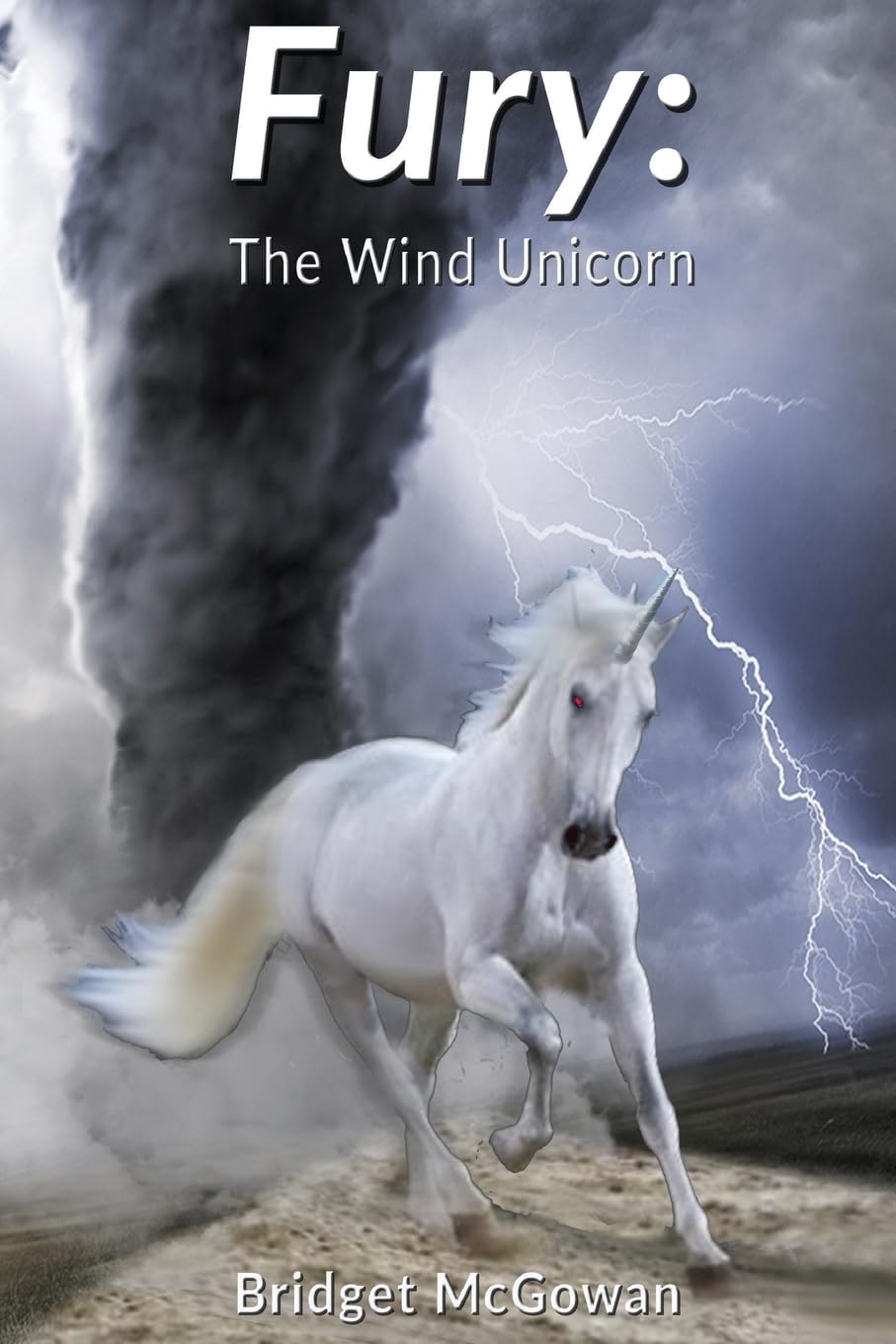 Fury: The Wind Unicorn: 2 (Unicorn Tales)