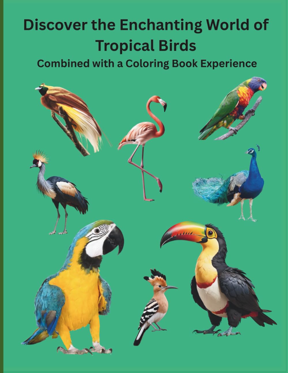 Discover the Enchanting World of Tropical Birds: Combined with a Coloring Book Experience