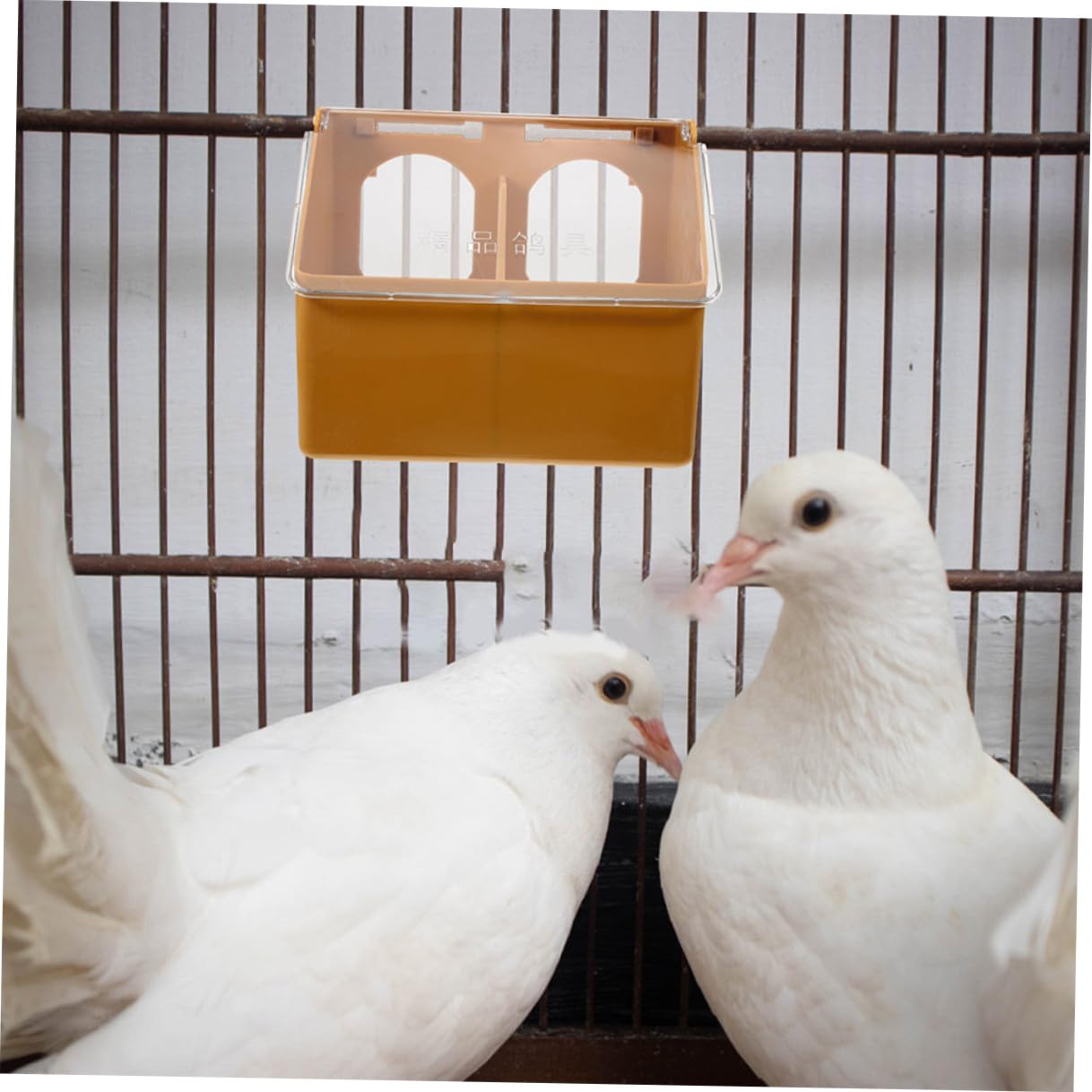 Mangeoire pour Perroquet à Deux Trous, Lot de 3, Plastique | Cage D’oiseaux, Couleur Café, Légère, Résistante à L’usure, Anti-éclaboussures, Nettoyage Facile
