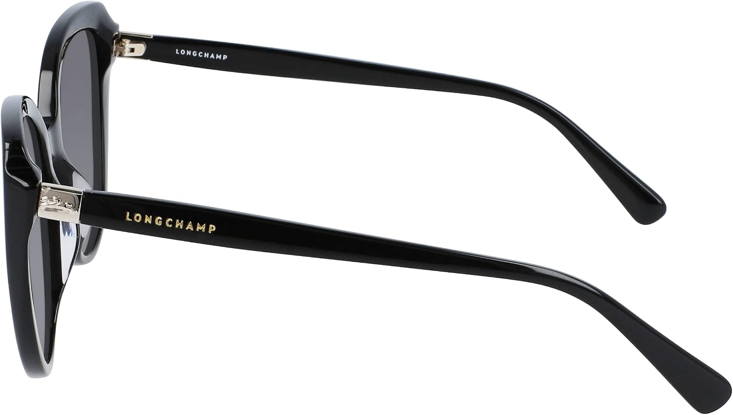 Longchamp Grey Gradient Cat Eye Ladies Sunglasses LO670S 001 54