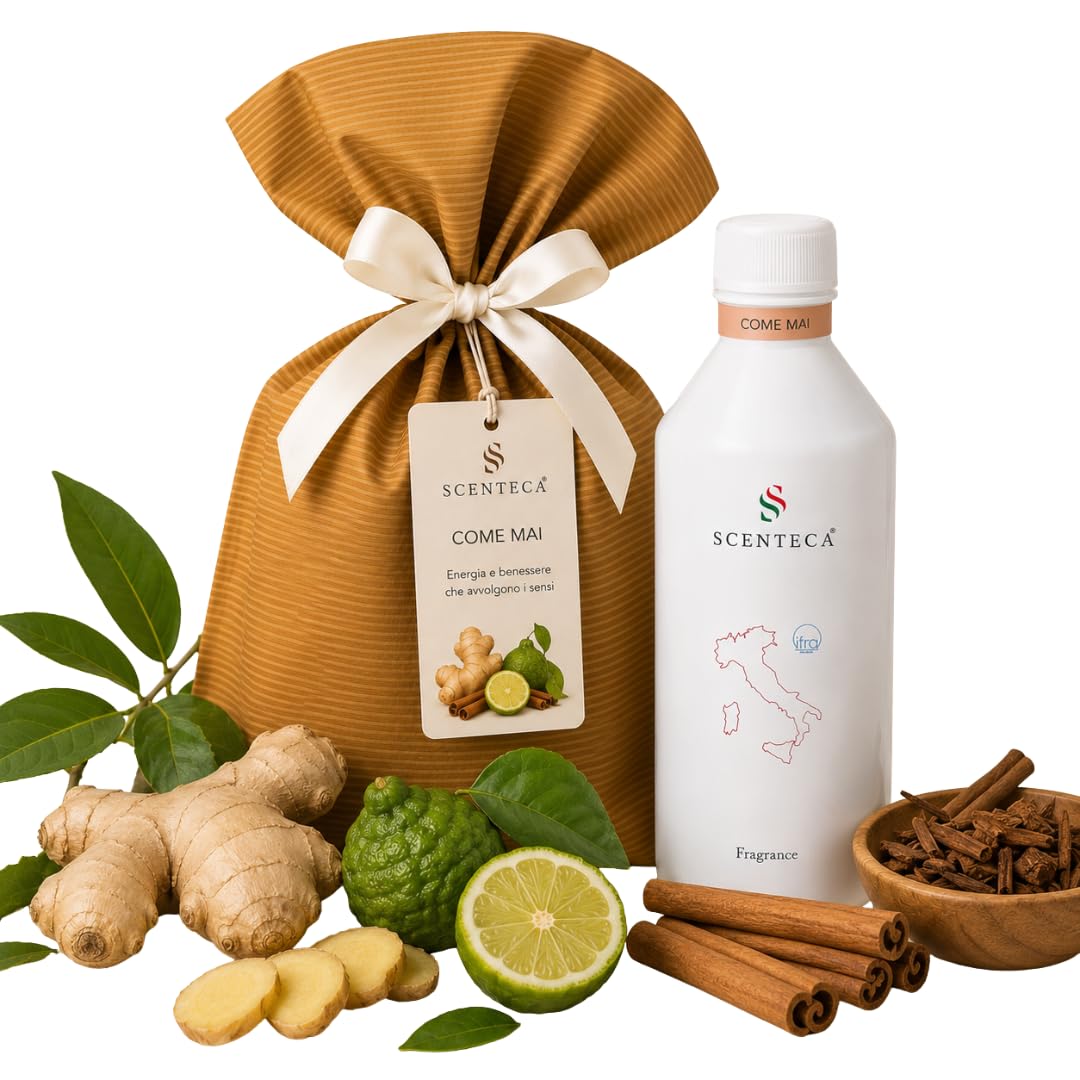 Relleno para difusores por nebulización fragancia Come Mai, ambientador con aceites esenciales de jengibre, bergamota y canela, para el hogar y la oficina, 500 ml