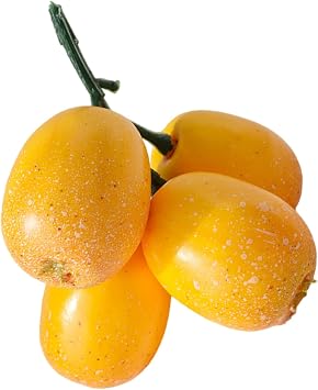 Simulation Loquat Fruit Decorative Fruit Model for Home Kitchen Living Room Dinning Table Photography Display Ornament