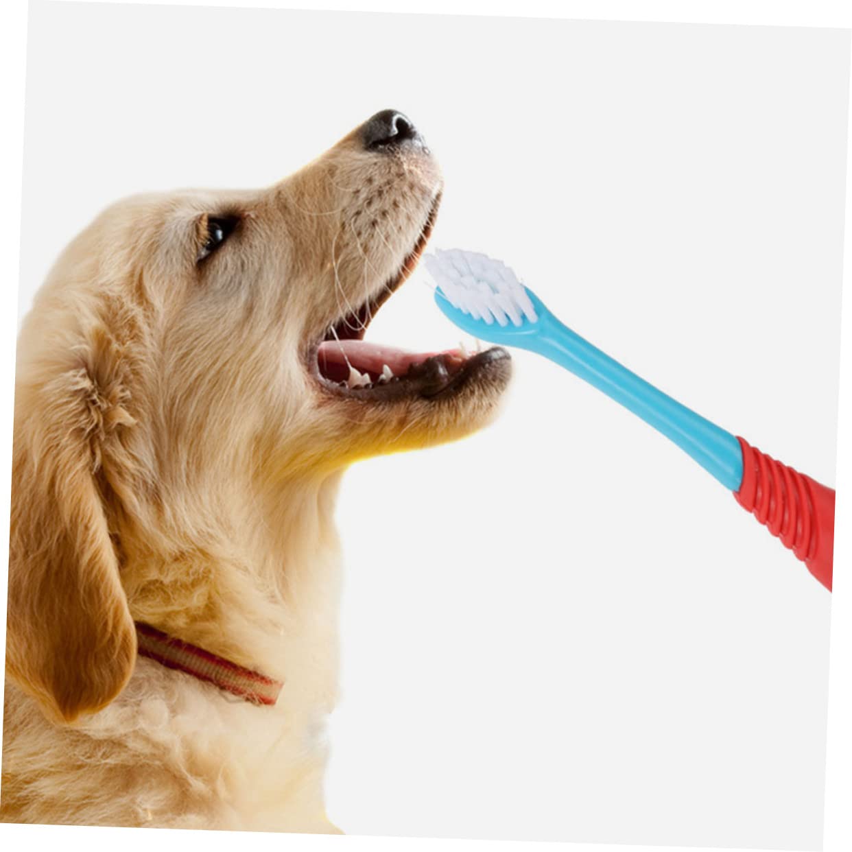 Toddmomy 12pièces Brosse à Dents Professionnelle Pour Animaux Outils De Nettoyage Buccal Pour Chiens Et Chiots