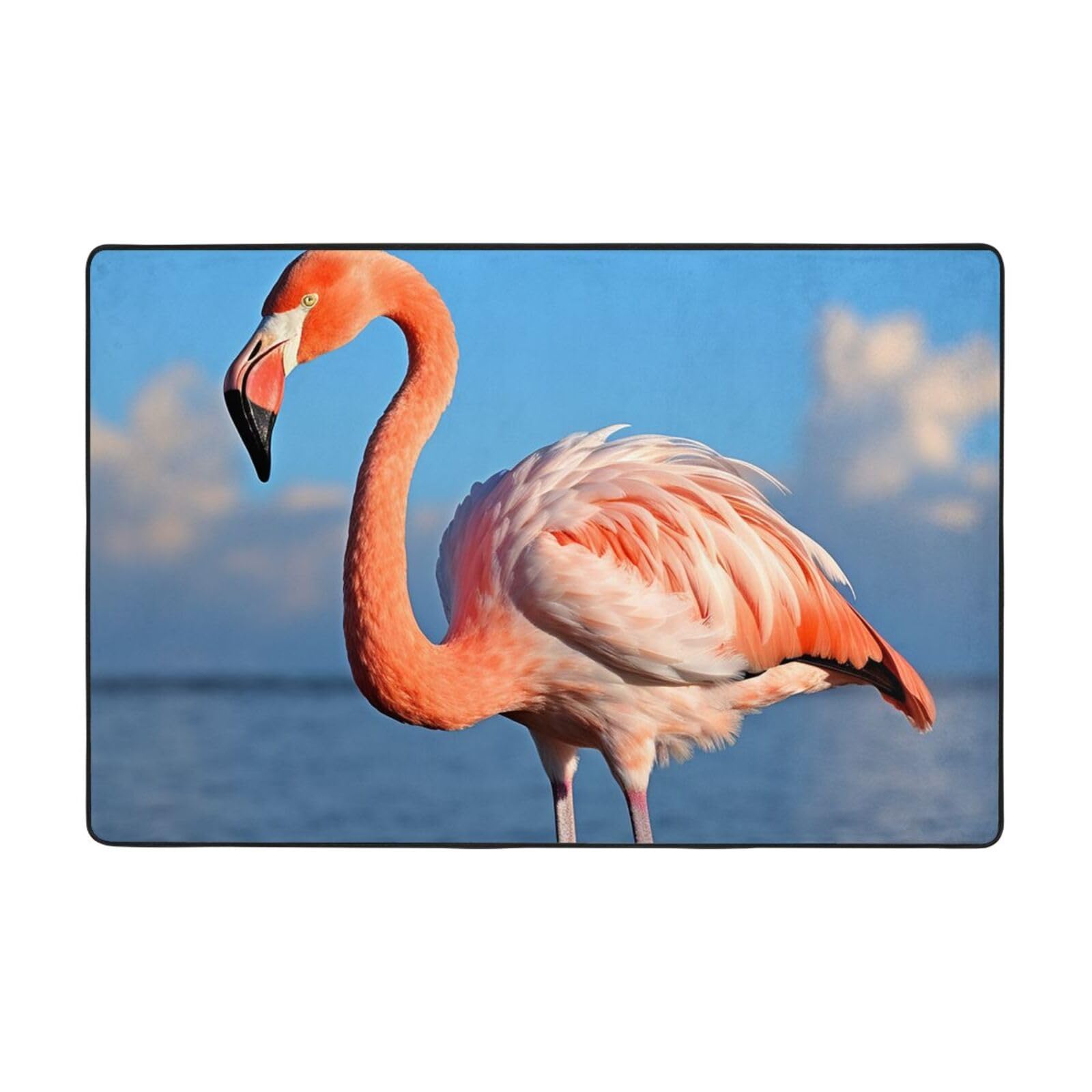Tapis lavable flamant rose ultra doux pour sol glissant